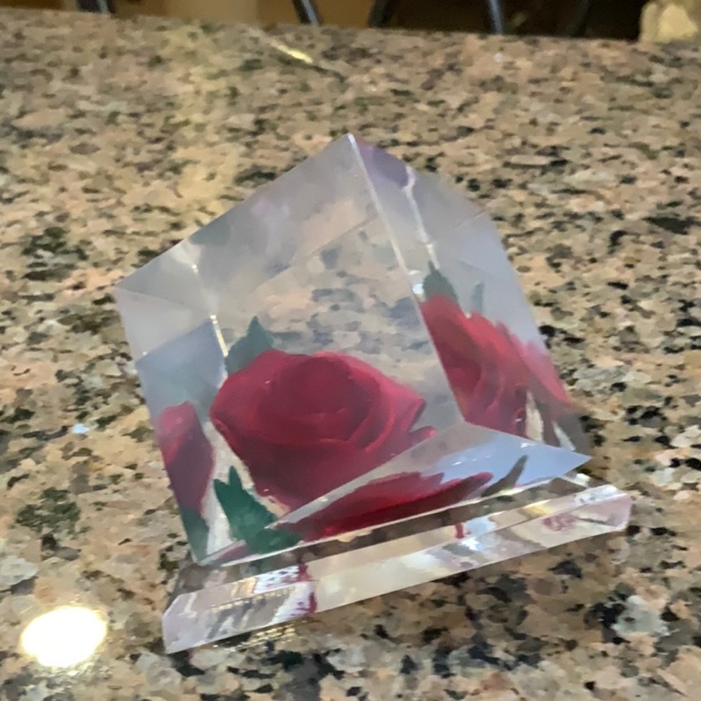 Paper Weight Bircraft Lucite Rose Indiana Handcrafted